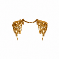 Galactic Guardian Wings